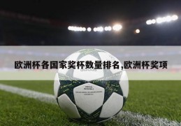 欧洲杯各国家奖杯数量排名,欧洲杯奖项