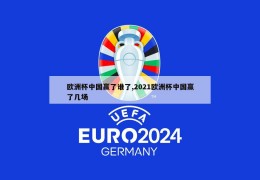 欧洲杯中国赢了谁了,2021欧洲杯中国赢了几场