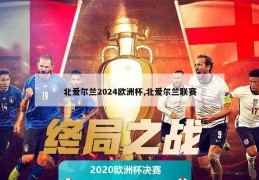 北爱尔兰2024欧洲杯,北爱尔兰联赛