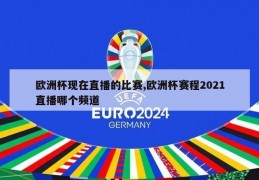 欧洲杯现在直播的比赛,欧洲杯赛程2021直播哪个频道