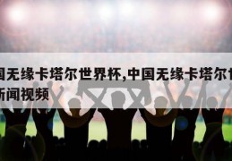 中国无缘卡塔尔世界杯,中国无缘卡塔尔世界杯新闻视频