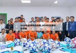 2024年欧洲杯的结果,2024年欧洲杯足球场