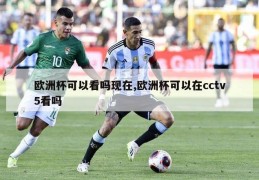 欧洲杯可以看吗现在,欧洲杯可以在cctv5看吗