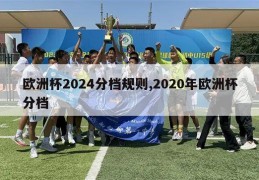 欧洲杯2024分档规则,2020年欧洲杯分档