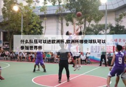 什么队伍可以进欧洲杯,欧洲杯哪些球队可以参加世界杯