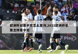 欧洲杯彩票中奖怎么查询,2021欧洲杯彩票怎样算中奖