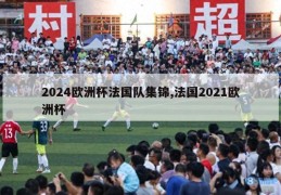 2024欧洲杯法国队集锦,法国2021欧洲杯