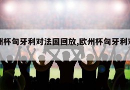 欧洲杯匈牙利对法国回放,欧州杯匈牙利对法国