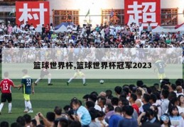 篮球世界杯,篮球世界杯冠军2023