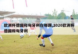 欧洲杯德国和匈牙利在哪踢,2020欧洲杯德国和匈牙利